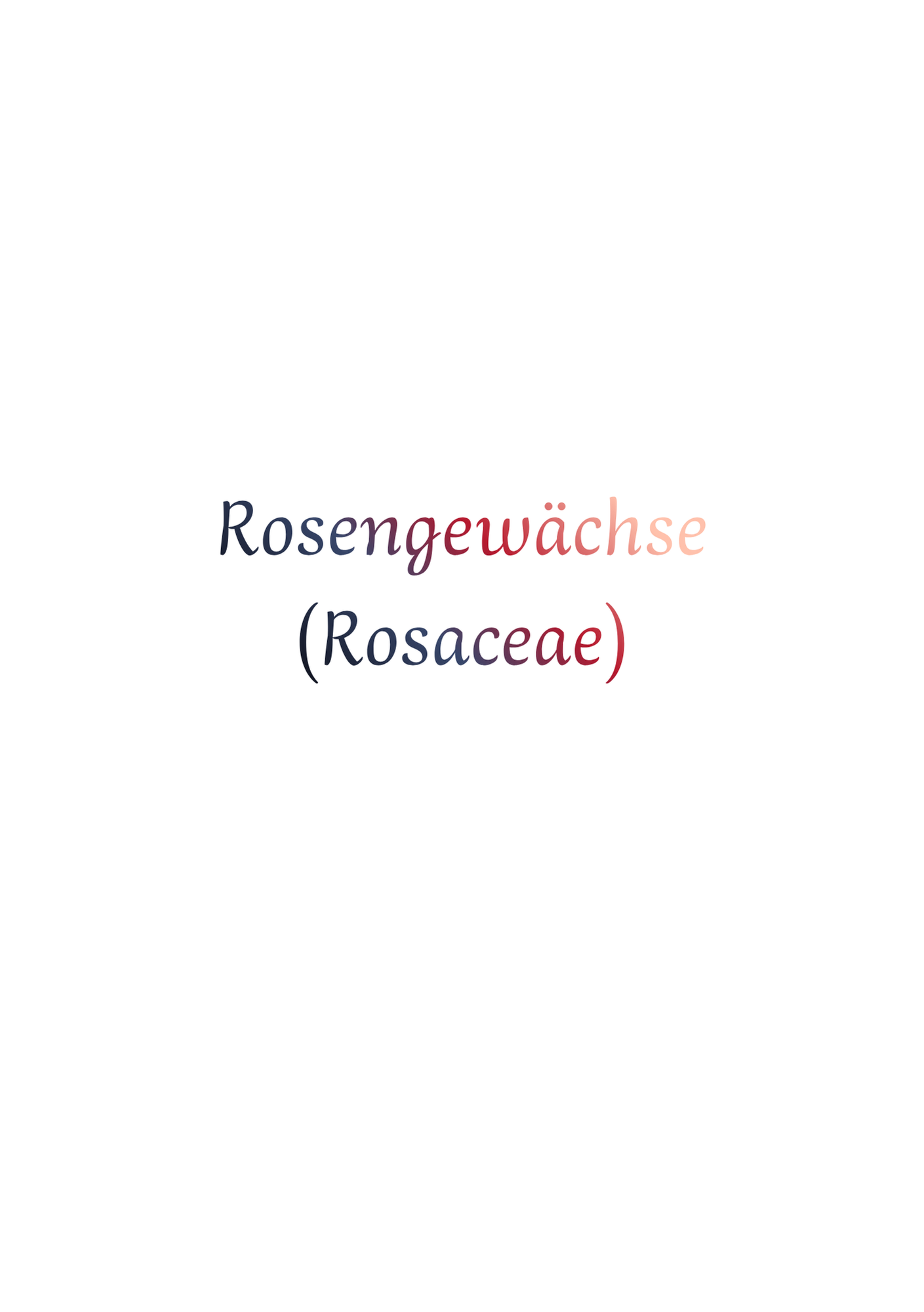 Rosengewächse (Rosaceae)